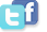 Social Network Icon